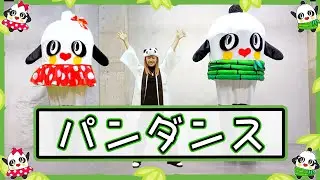 【ぱんだーるくんダンス】パンダンス 踊り方　双子のパンダの妖精（ぱんだーるくん、ぱんだーなちゃん）ビンドゥンドゥン？冰墩墩 bīng dūndūn