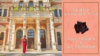 Тайна Чёрной Розы I Растения с Историей