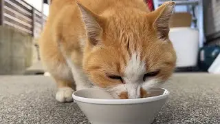 眉間にシワをつくって食べるタイプ？