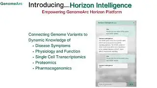Introducing  Horizon Intelligence