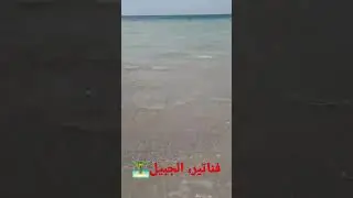 cool waves