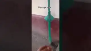 Вы за кого голосуете?