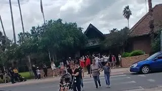 Live at the Brownsville zoo