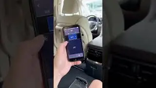 The New 2024 Toyota Alphard Hybrid