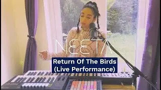 Return Of The Birds (Ableton Live Performance)