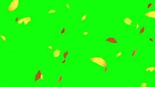 Falling Leaves Green Screen | Autumn Leaves Falling Green Screen Video | Green Screen Leaves Falling