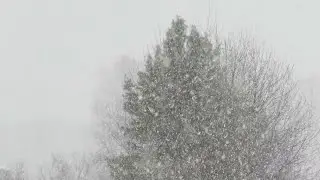 Шум метели, ветра зимы. / звуки  для сна, отдыха, работы. /Relax