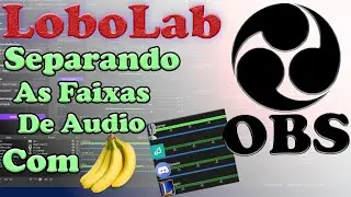 LoboLab - Como Separar as Faixas de Áudio no OBS (Discord, Musica, Jogo, etc)