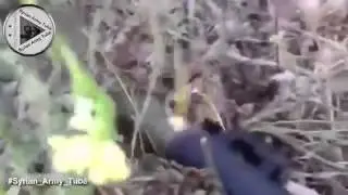 Свежие мировые новости  Гибель боевика перед камерой