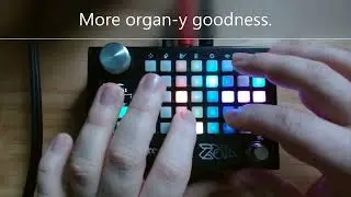 Empress ZOIA patch walkthrough:  "Plusses -- a fun little four-voice synth/sequencer thing"