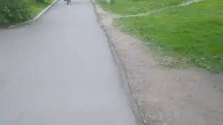 нахуй сбило фурой