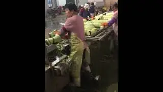 Continuous peeling machine