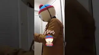 Stan costume from South Park