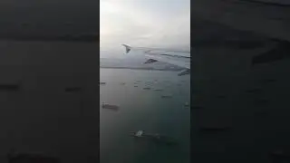 Susie Landing Back Home Singapore