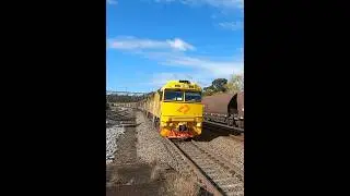 East Maitland; Coal Train after Coal Train #trains #coaltrain