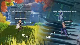 What Happens If I Bring Genshin Impact Players To Different Domains
