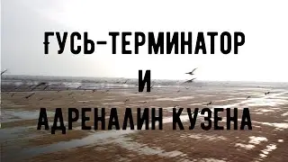 Гусь-терминатор и Адреналин кузена. Открытие охоты на гуся 2021.