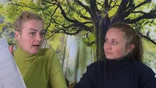 Кому подчиняются школы?