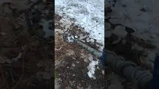 Tejon! скрытые возможности БГ!