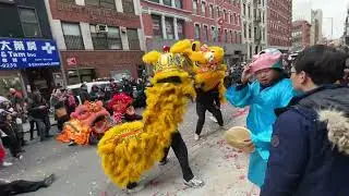 New york lion dance 2025