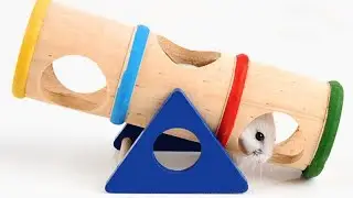 ТОП-5 классных игрушек для хомяков из Aliexpress