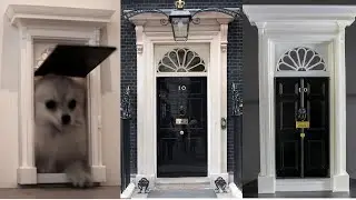 Dogningstreet 10, dogdoor ...