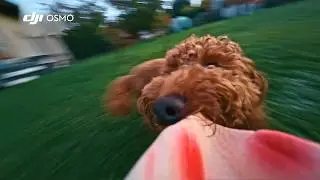 DJI Osmo Nano - 14 Creative POV Ideas for Your Next Vlog