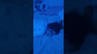 типа здохла 😊😉