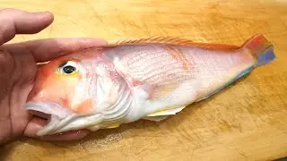 アマダイのさばき方と刺身（昆布締め）　　Sashimi of tilefish
