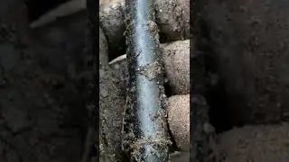 ОТКОПАЛИ НЕМЕЦКУЮ РУЧКУ! СТРАШНО ОТКРЫВАТЬ! WW2 METAL DETECTING