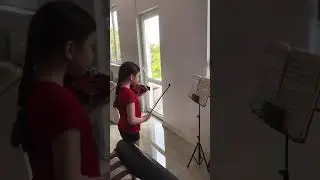 Дистанционные уроки на скрипке в муз.школе