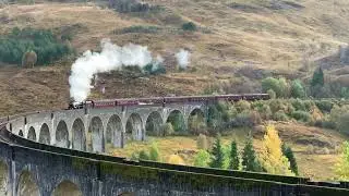 Harry Potter Train