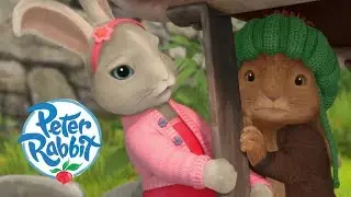 Peter Rabbit - Hide and Seek | Cartoons for Kids