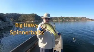Big Heavy SPINNERBAITS in the Fall