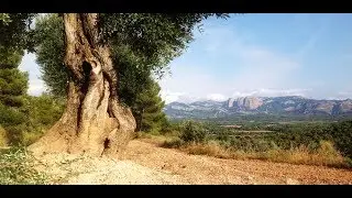 Hotel in Matarranya - Land and Project for Sale