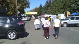 Капуста правда помсгает?..