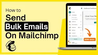 🟡 How To Send Bulk Emails On Mailchimp 2024 (Step-By-Step)