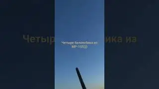 Из пяти выстрелов, добыл четыре белолобых гуся, МР-155)))