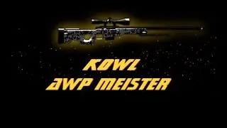 [CS:GO] kowl AWP Meister