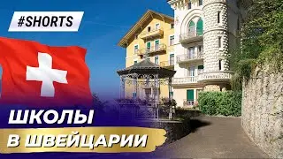 Школы Швейцарии. Частные школы в Швейцарии. Школа пансионат в Швейцарии 