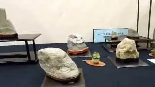 British Suiseki Club Display at the World of Bonsai 2015