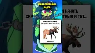 ТикТок мем 