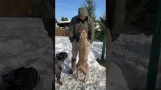 Доброе утро от булочек🤗 