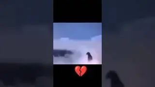 качество имба👍#youtubeshorts#memes