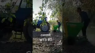 МТЗ 80