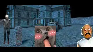 Котейка вернулся! Прохождения Гренни Chapter 3 #1