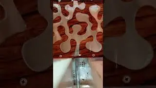 тайм лапс про мурашек