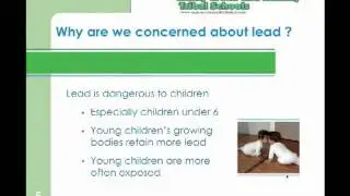 Lead-Based Paint Renovation, Repair and Painting Rule