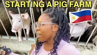 🇵🇭THEY LEFT THE US🇺🇸 TO START A PIG FARM IN THE PHILIPPINES || All you need to know to start