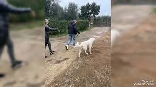 ZEUS ADOTTATOOOOOO!!!! 🎉😍